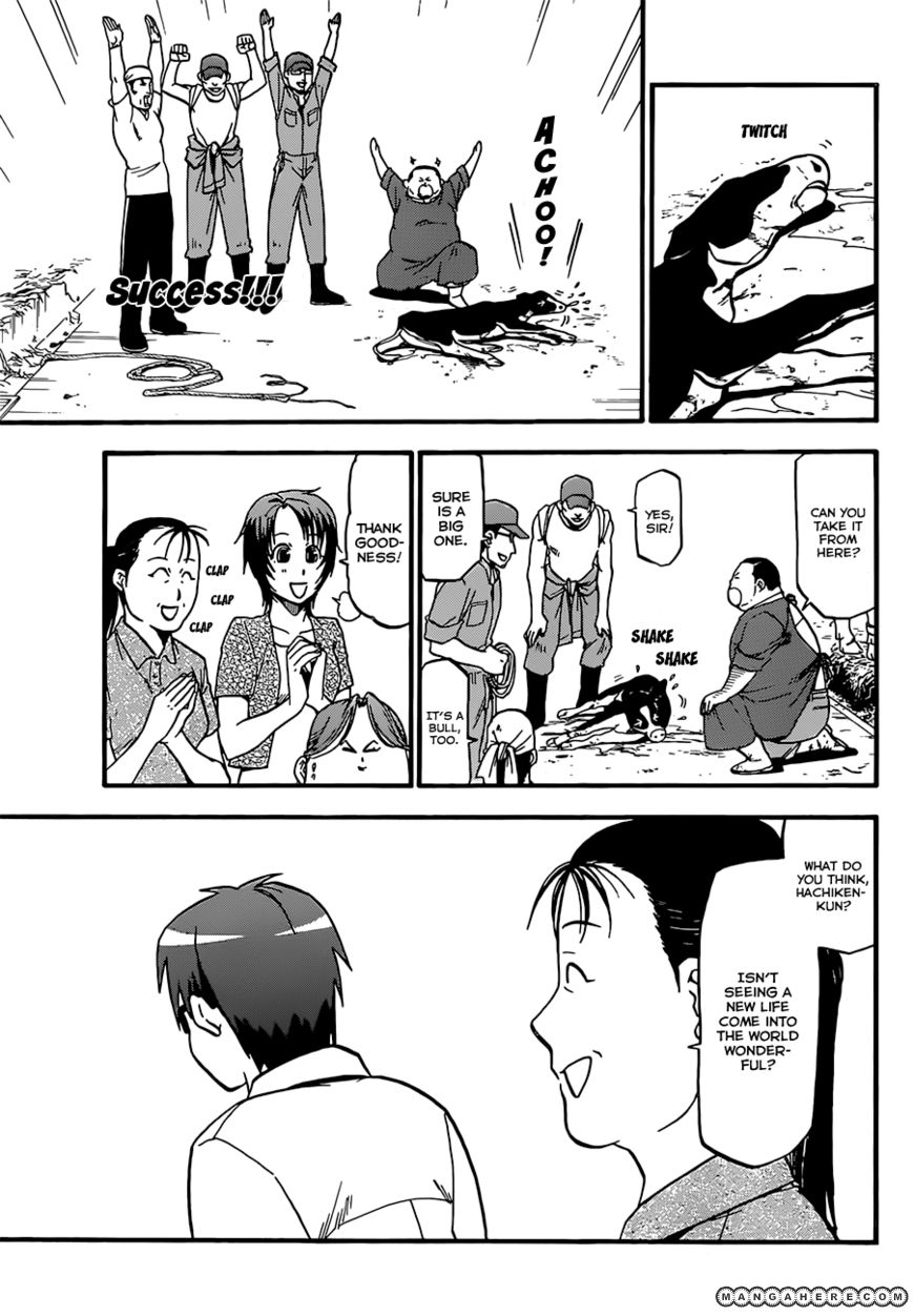 Chapter 17 image 18