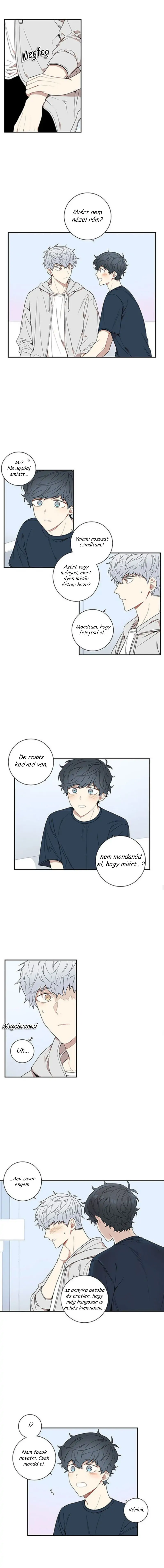 32650346 800 7635 168144