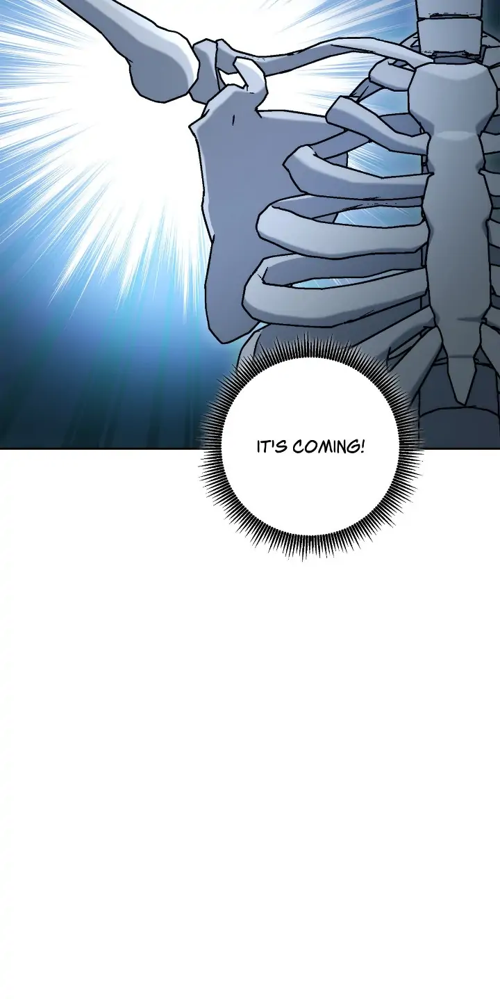 19959795 720 1437 46962